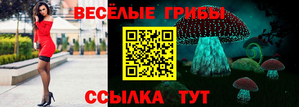 Псилоцибиновые грибы GOLDEN TEACHER Владивосток