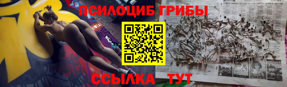 Псилоцибиновые грибы Cubensis  Вход с VPN  Владивосток  Галлюциногенные грибы GOLDEN TEACHER 